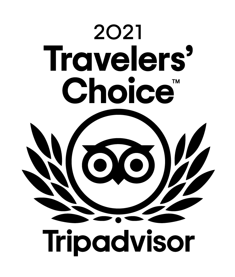 Tripadvisor travelers choice Logo